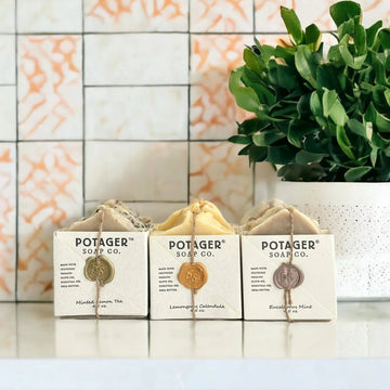 Therapeutic Benefits of Rosemary