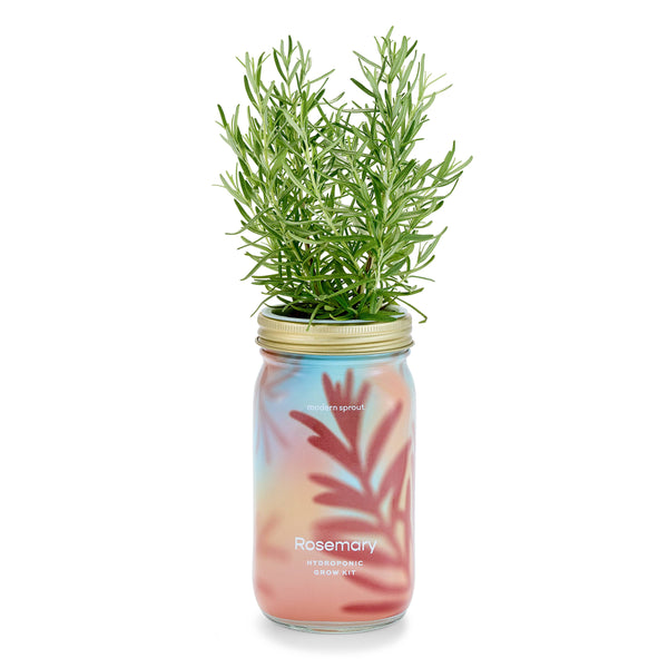 Modern Sprout Co. - Herb Garden Jar