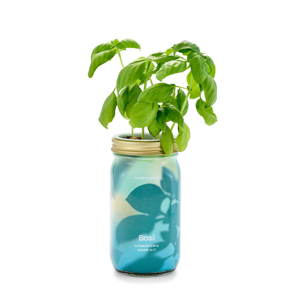 Modern Sprout Co. - Herb Garden Jar
