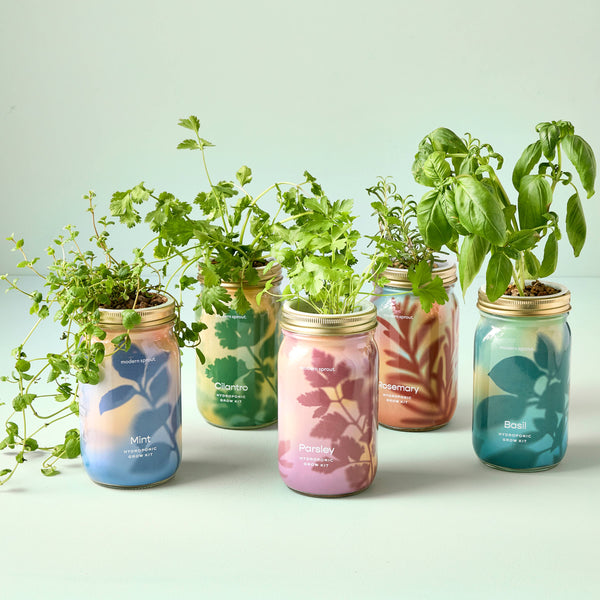 Modern Sprout Co. - Herb Garden Jar