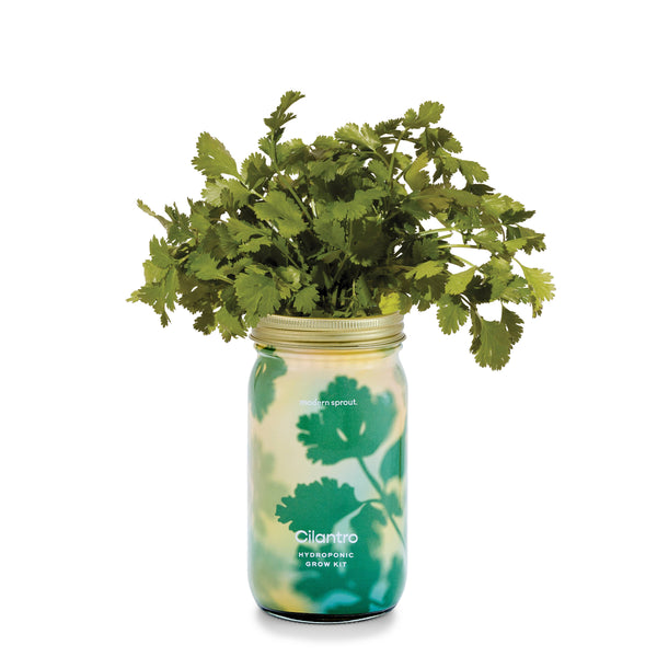 Modern Sprout Co. - Herb Garden Jar