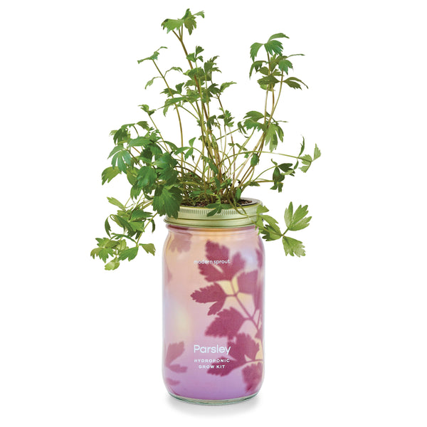 Modern Sprout Co. - Herb Garden Jar