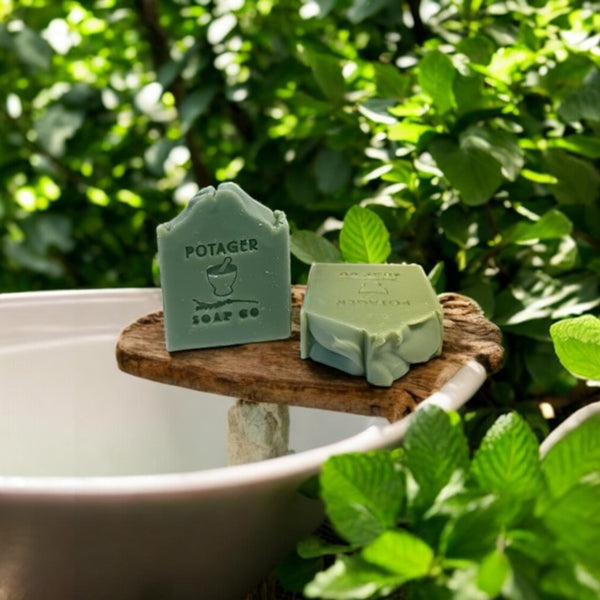 Two Eucalyptus Mint soap bars on a wooden stand with a eucalyptus forest in the background
