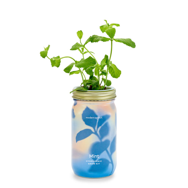 Modern Sprout Co. - Herb Garden Jar