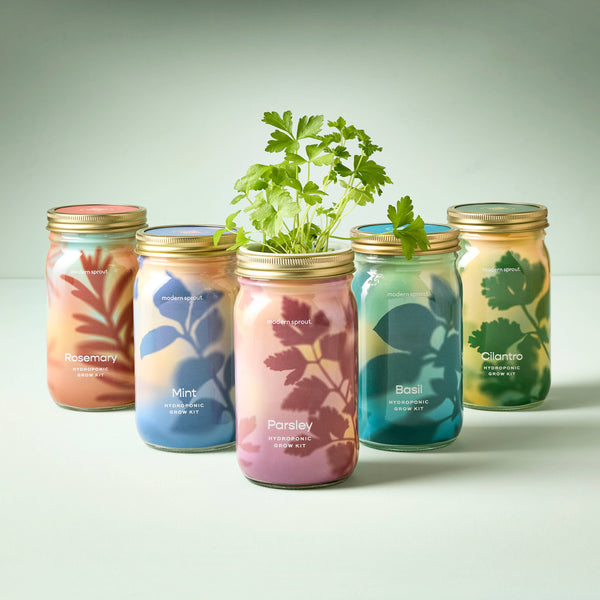 Modern Sprout Co. - Herb Garden Jar