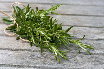 The Remarkable Benefits of Rosemary and Rosemary Oil