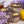 Nectar: Lilac + Lemon + Honey Candle