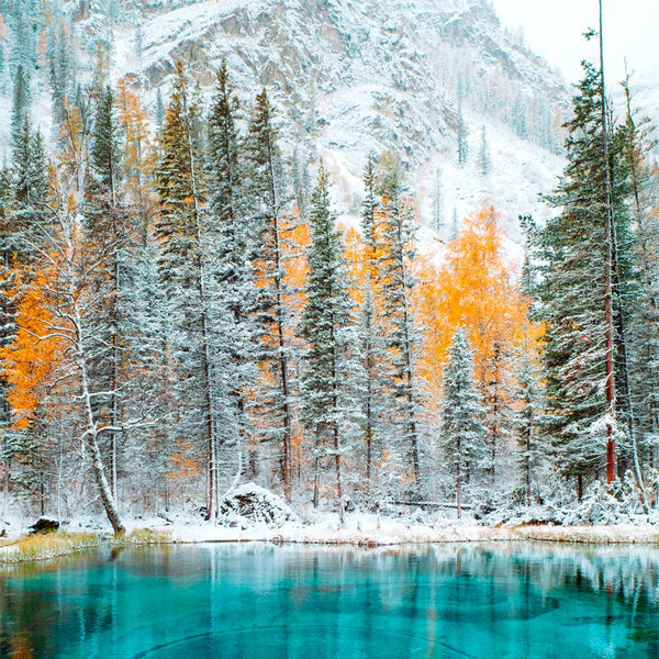 Puzzle - Crystal Lake