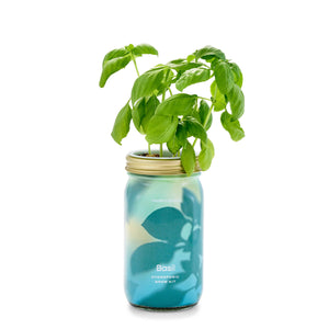 Modern Sprout Co. - Herb Garden Jar