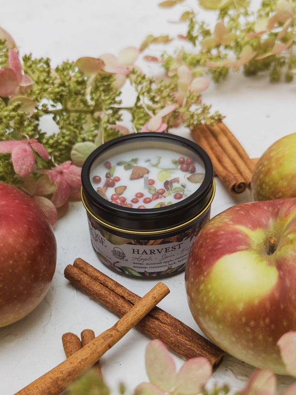 Ash & Rose - HARVEST Apple Spice Candle