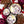 Ash & Rose - COCOA LUXE Chocolate Raspberry Candle