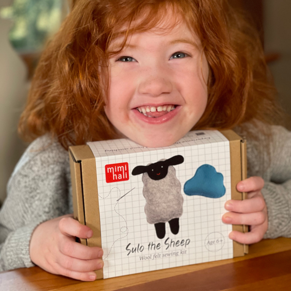 Sheep and Cloud Wool Felt Sewing Kit – DIY Craft