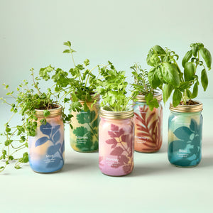 Modern Sprout Co. - Herb Garden Jar
