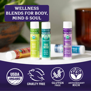 Badger Aromatherapy Travel Set, Organic Essential Oil Balms