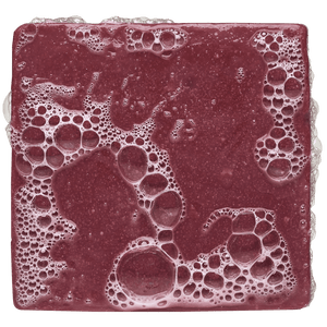Dr. Squatch | Sandalwood Summit Bar Soap - 5 oz