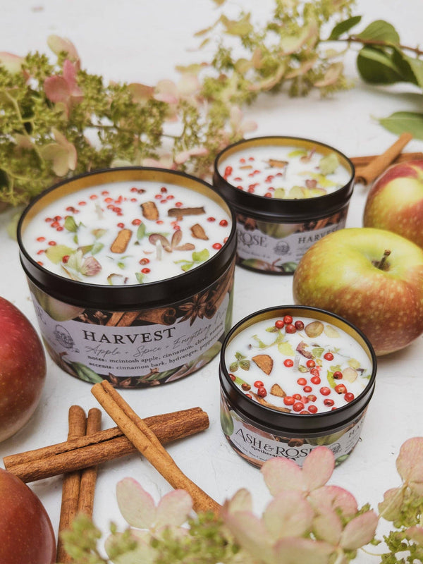 Ash & Rose - HARVEST Apple Spice Candle