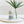 Little Seed Farm - Rosemary Patchouli Deodorant Cream