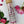 Ash and Rose Brand | Love Note Himalayan Pink Salt Rose Petal Test Tube Bath Soak