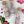 Ash and Rose Brand | Love Note Himalayan Pink Salt Rose Petal Test Tube Bath Soak