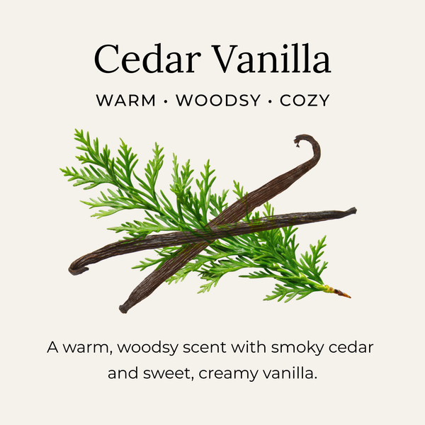 Little Seed Farm - Cedar Vanilla Deodorant Cream