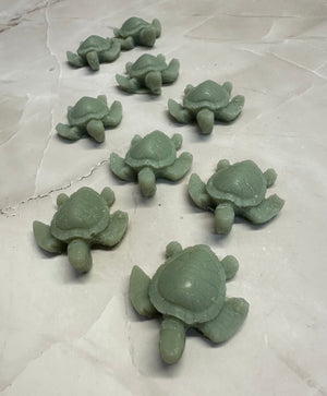 Sea Turtle Hatchling - Eucalyptus Mint