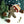 Gingerbread Man | Orange Spice Soap – Warm & Zesty