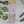Ash & Rose Brand - Sooothe Lavender Mint Epsom Salt Oatmeal Bath Soak Vial Tube
