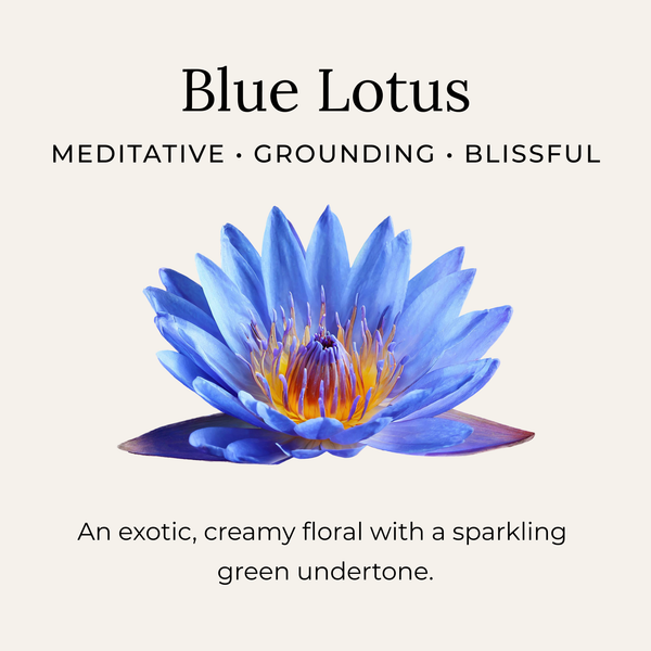 Little Seed Farm - Blue Lotus Deodorant Cream