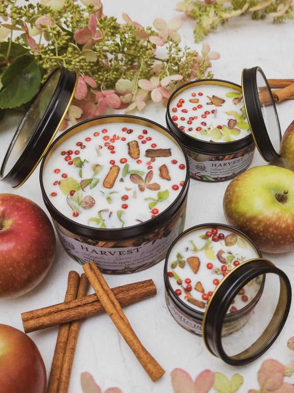 Ash & Rose - HARVEST Apple Spice Candle