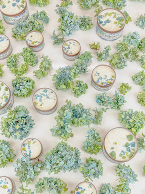 Ash & Rose - By the Sea - Hydrangea and Sea Salt Candle