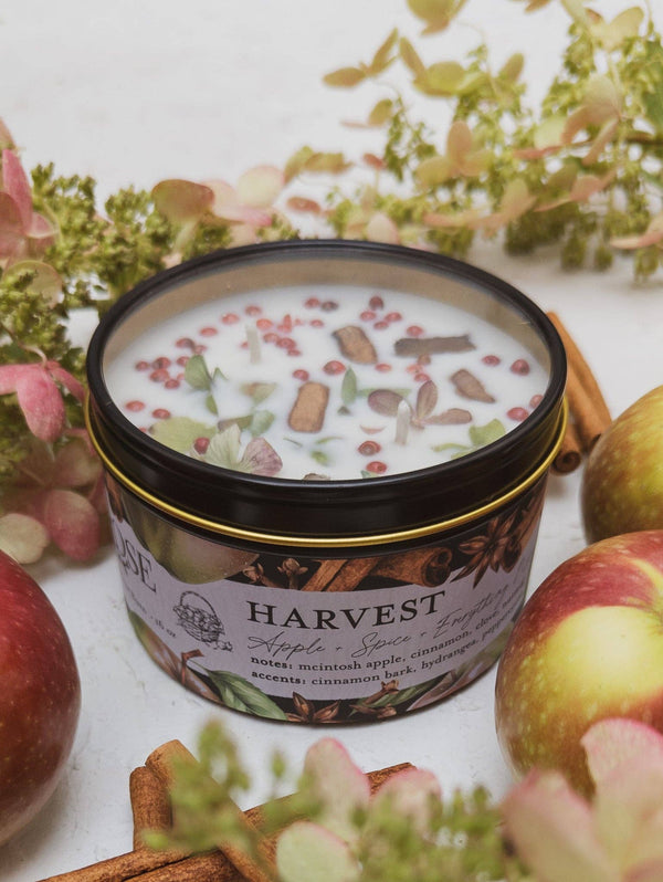 Ash & Rose - HARVEST Apple Spice Candle