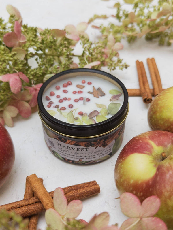 Ash & Rose - HARVEST Apple Spice Candle