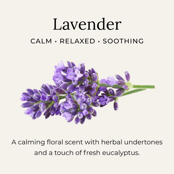 Little Seed Farm - Lavender Deodorant Cream
