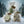 Gingerbread Man | Orange Spice Soap – Warm & Zesty