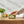 Potager Soap Co. Wavertree & London Basil Lime and Mandarin soap bar held by a hand on a wooden bathroom counter.
