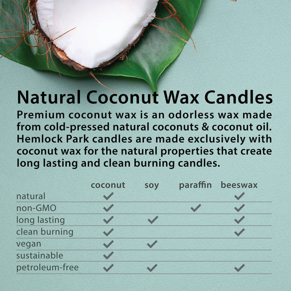 Potager Soap Co. infographic comparing natural coconut wax benefits against soy, paraffin, and beeswax candles.