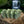 Potager Soap Co. handcrafted green eucalyptus mint bar soap arranged on a rustic tree stump with a waterfall backdrop.