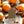 Potager Soap Co. Holiday Spice artisan soap bar featuring a rustic embossed logo surrounded by oranges and cinnamon.