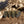 Potager Soap Co. lavender and patchouli botanical bar soaps with rustic texture on a sandy surface with dried lavender.