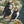 Potager Soap Co. Cobble Hill Fisherman's Wharf jigsaw puzzle featuring three Atlantic puffins on a mossy coastal cliff