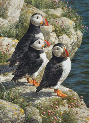 Potager Soap Co. Cobble Hill Fisherman's Wharf jigsaw puzzle featuring three Atlantic puffins on a mossy coastal cliff