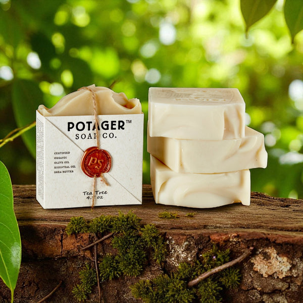 Tea Tree Soap | Minimal & Gift-Ready Bar