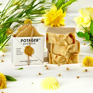 POTAGER SOAP CO. Lemongrass Calendula soap bars with packaging on a white background with Calendula flowers and lemongrass.